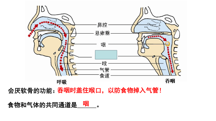 冀教版七年级下册 第三-六章 复习课件  （共46张PPT）