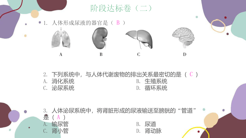 苏教版生物七年级下册阶段达标卷（二）习题课件(共25张PPT)