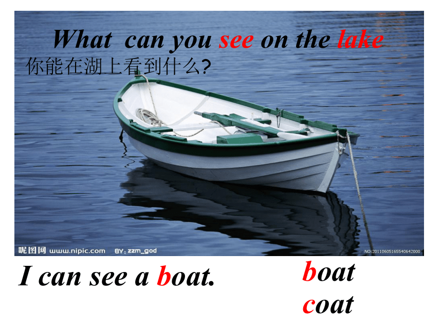 Unit 3 What can you see 课件（共47张）