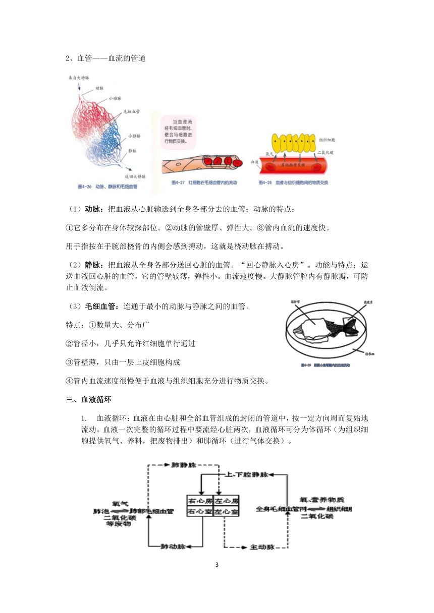 2020浙教版科学九年级上册“培优提高”秋季班讲义（二）：体内物质的运输【含答案】