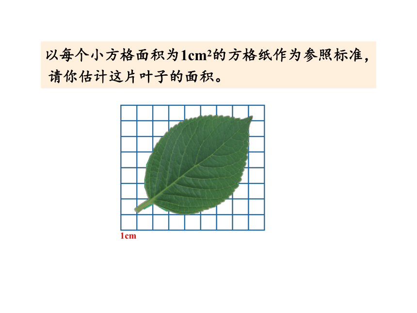 人教版五年级上册数学6 组合图形的面积（2）课件（16张PPT)