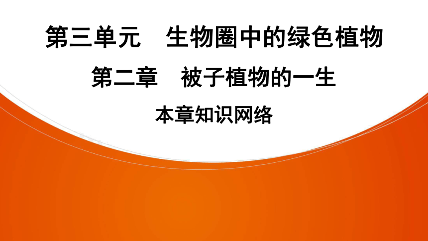 人教版生物七年级上册 第3单元　第2章被子植物的一生本章知识网络 课件（共26张PPT）