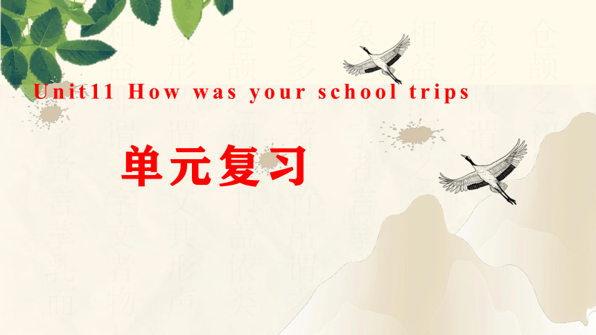 Unit 11 How was your school trips 单元复习课件-七年级英语下册同步精品课堂（人教版）