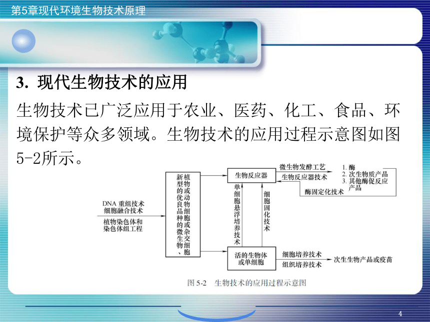 5.现代环境生物技术原理_1 课件(共56张PPT)- 《环境生物化学》同步教学（机工版·2020）