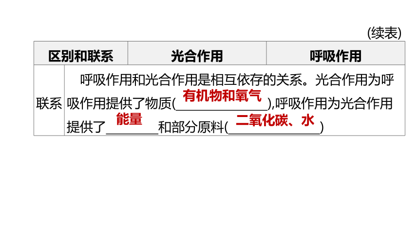 2022年浙江省中考科学一轮复习 第04课时　绿色植物的光合作用和呼吸作用（课件 64张PPT）