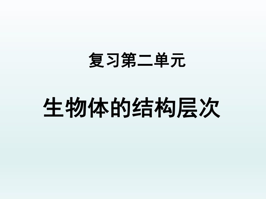 人教版七年级生物上册第二单元生物体的结构层次期中复习课件(共19张PPT)