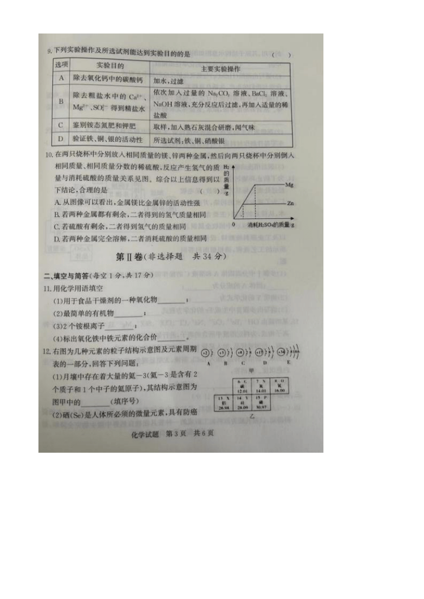 山东省济宁市泗水县2024年九年级第一次模拟考试化学试题(图片版 无答案)