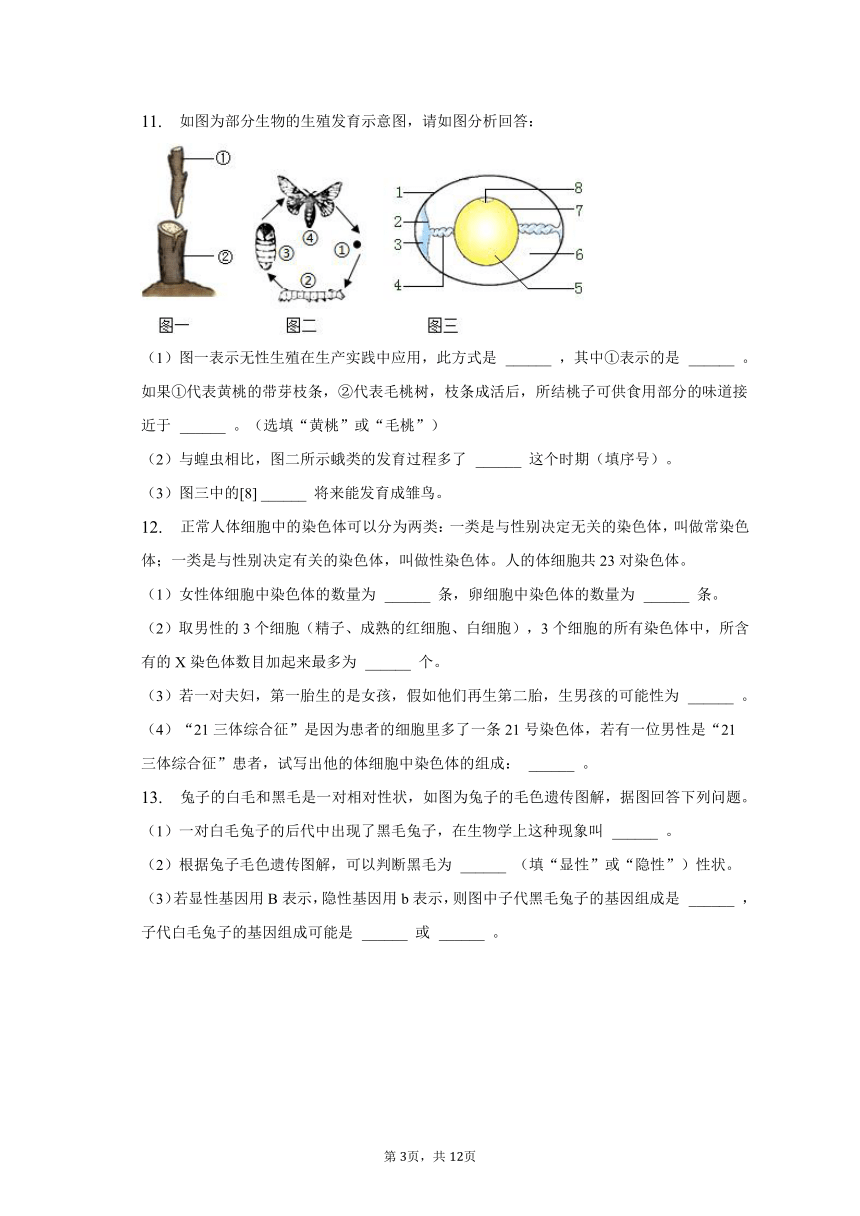 2022-2023学年安徽省池州市贵池区等2地联考八年级（下）期中生物试卷（含解析）