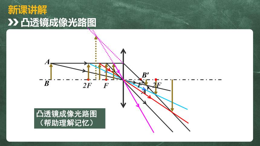 北师大版 八年级物理下册 6.3 生活中的透镜 课件 (共24张PPT)