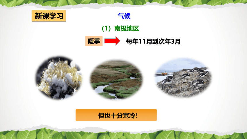 2020-2021学年人教版七年级地理下册第十章《极地地区》课件（共44张PPT）