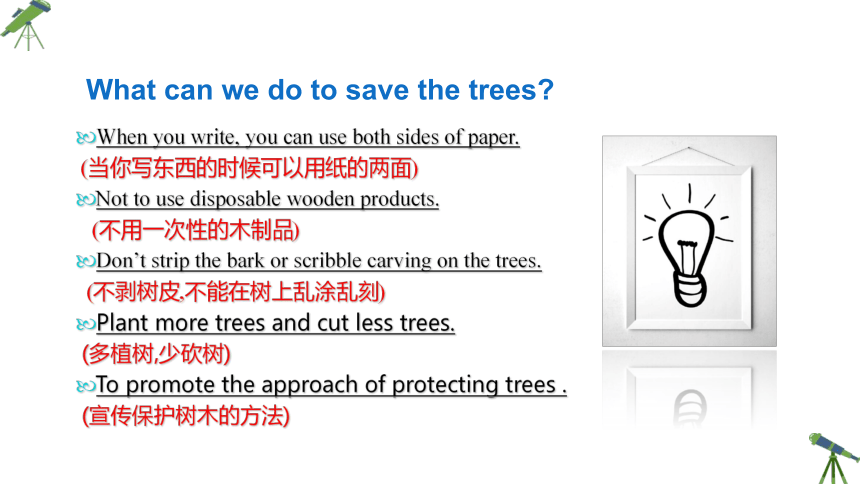 Unit 4 Save the trees More practice 课件(共24张PPT)