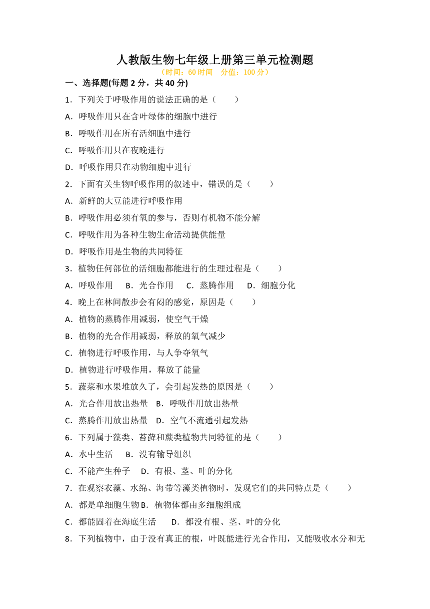 第三单元生物圈中的绿色植物检测题 2022-2023学年人教版生物七年级上册(含答案)