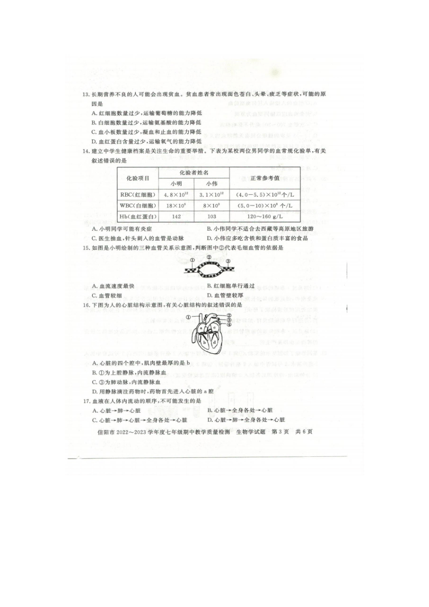 河南省信阳市2022-2023学年七年级下学期期中生物试题（图片版含答案）