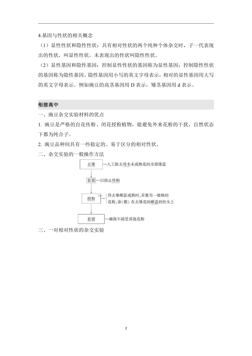 第6章遗传、变异和进化（1）遗传因子的发现学案（含解析）—2023-2024学年初升高生物学人教版（2019）精准链接