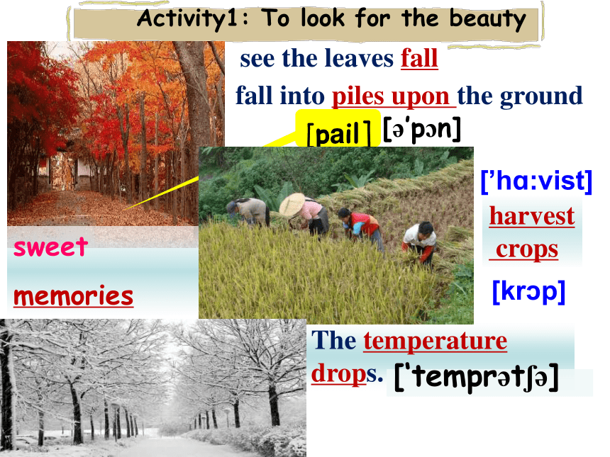 Unit 7 Seasons Reading 1： A poem about seasons 课件30张