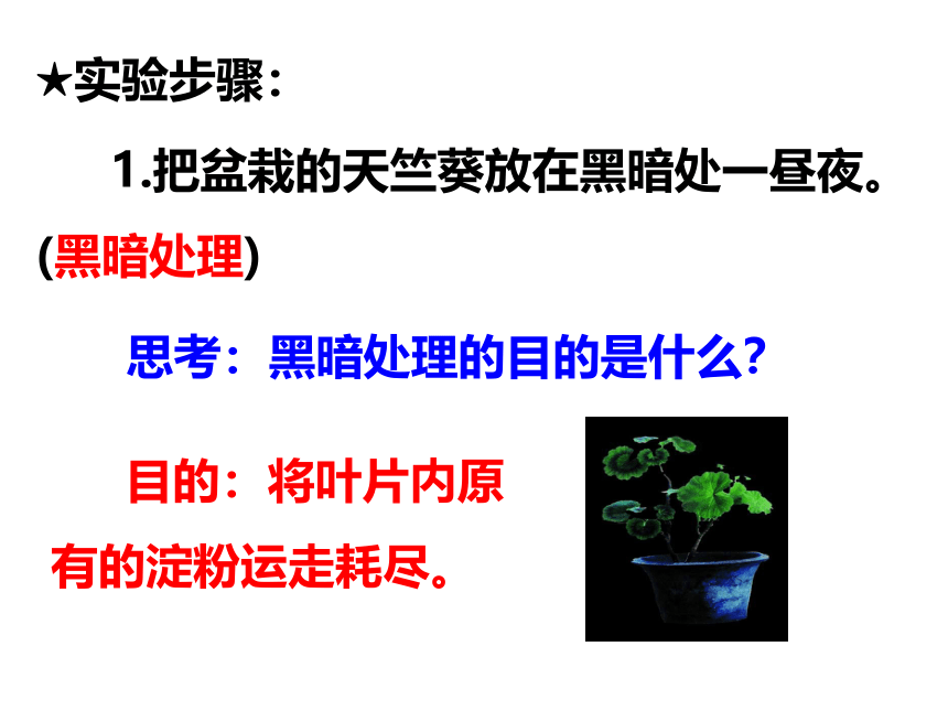 2021-2022学年人教版七年级生物上册3.4绿色植物是生物圈中有机物的制造者课件(共20张PPT)