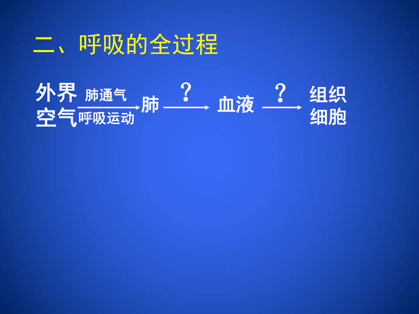 2020--2021学年北师大版生物七年级下册4.10.2. 人体细胞获取氧气的过程课件（第3课时）（39张ppt）