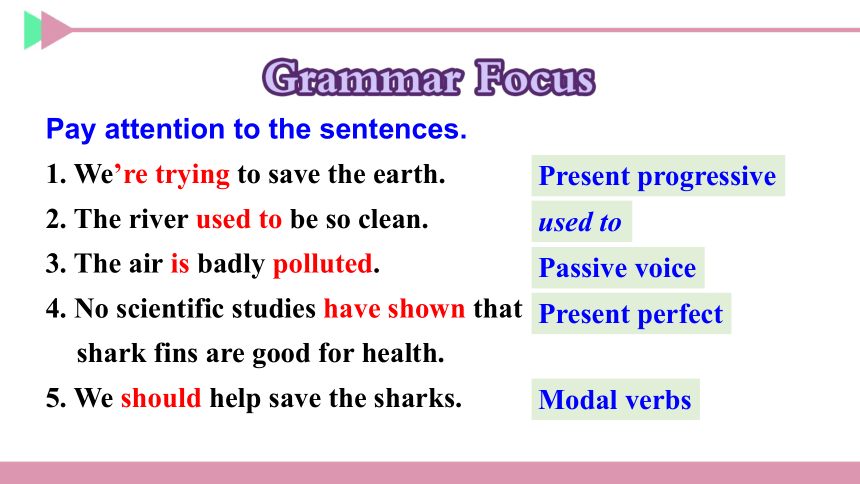 Unit 13 We're trying to save the earth Section A  Grammar Focus-4c 课件（41张PPT)