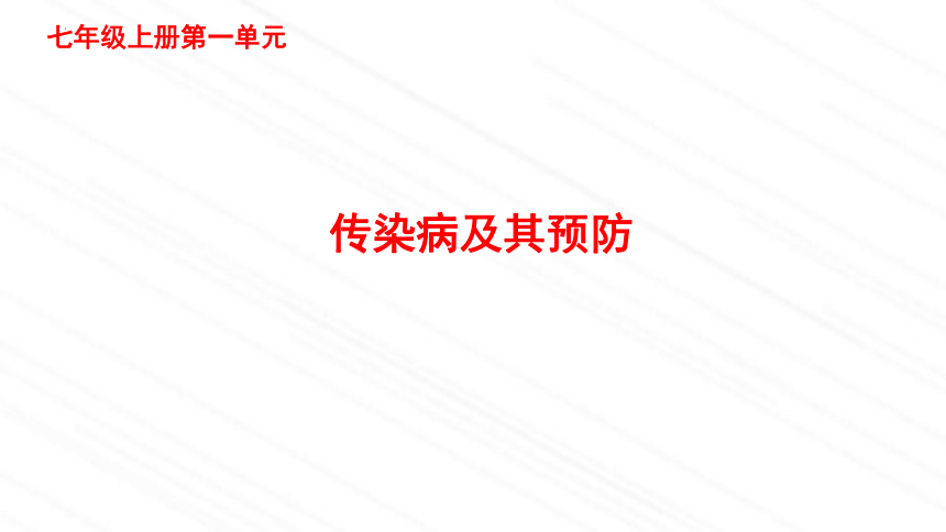 3.6.2传染病及其预防课件（共34张PPT） 济南版生物七年级下册