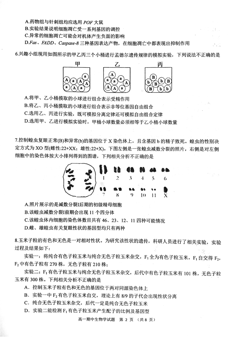 湖北省武汉市东西湖区2023-2024学年高一下学期4月期中生物试题（pdf版无答案）