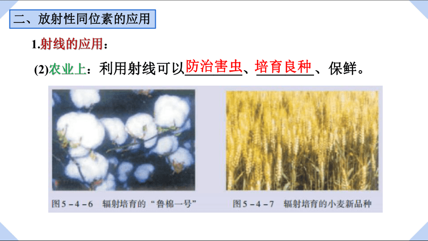 5.4  放射性同位素 课件 （14张PPT）高二下学期物理粤教版（2019）选择性必修第三册