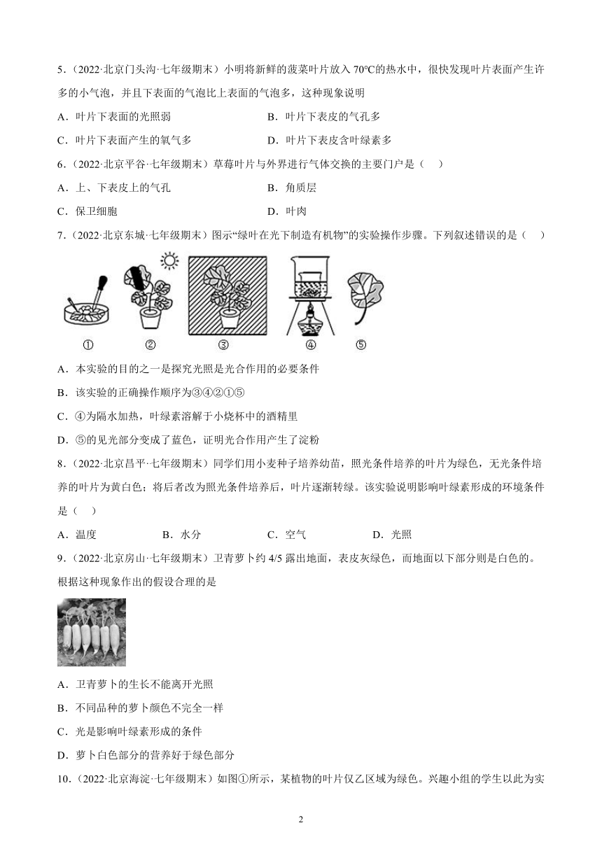 2021-2022学年北京市各地京改版生物七年级上册 4.2 绿色植物的光合作用 期末试题选编 （含答案）