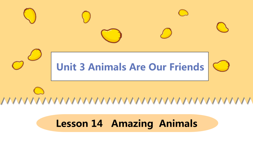 Lesson 14 Amazing Animals-初中英语 八年级下册 冀教版 同步课件