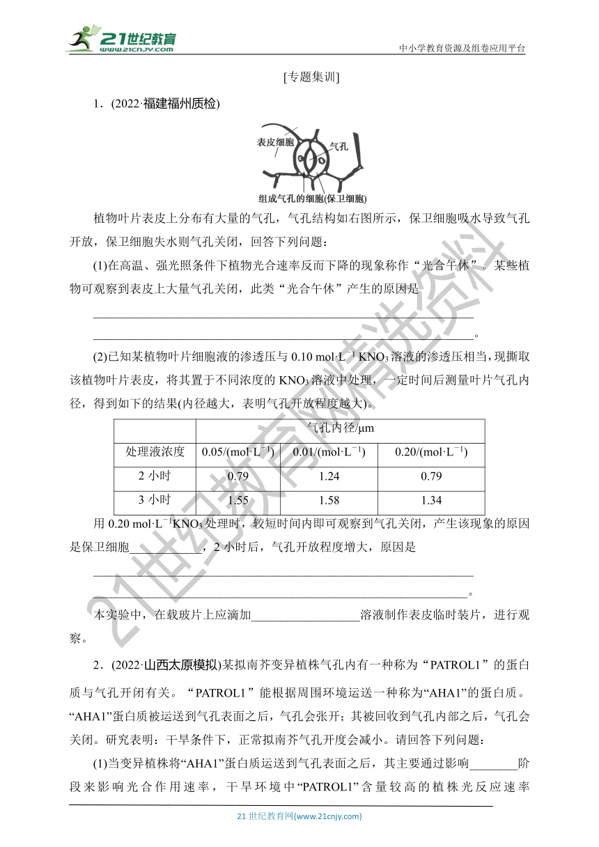 【考点梳理  生物总复习 】19微专题5　气孔与细胞代谢（Word版含答案）