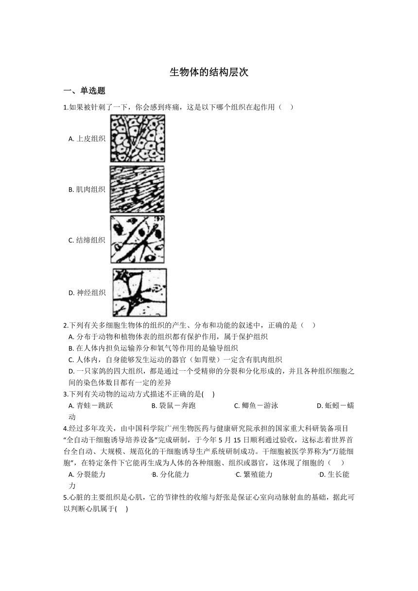 2.3生物体的结构层次 同步练习（含解析）