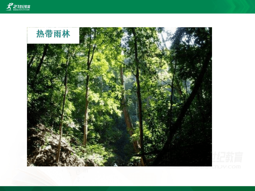 3.6爱护植被，绿化祖国（课件）（共29张PPT）