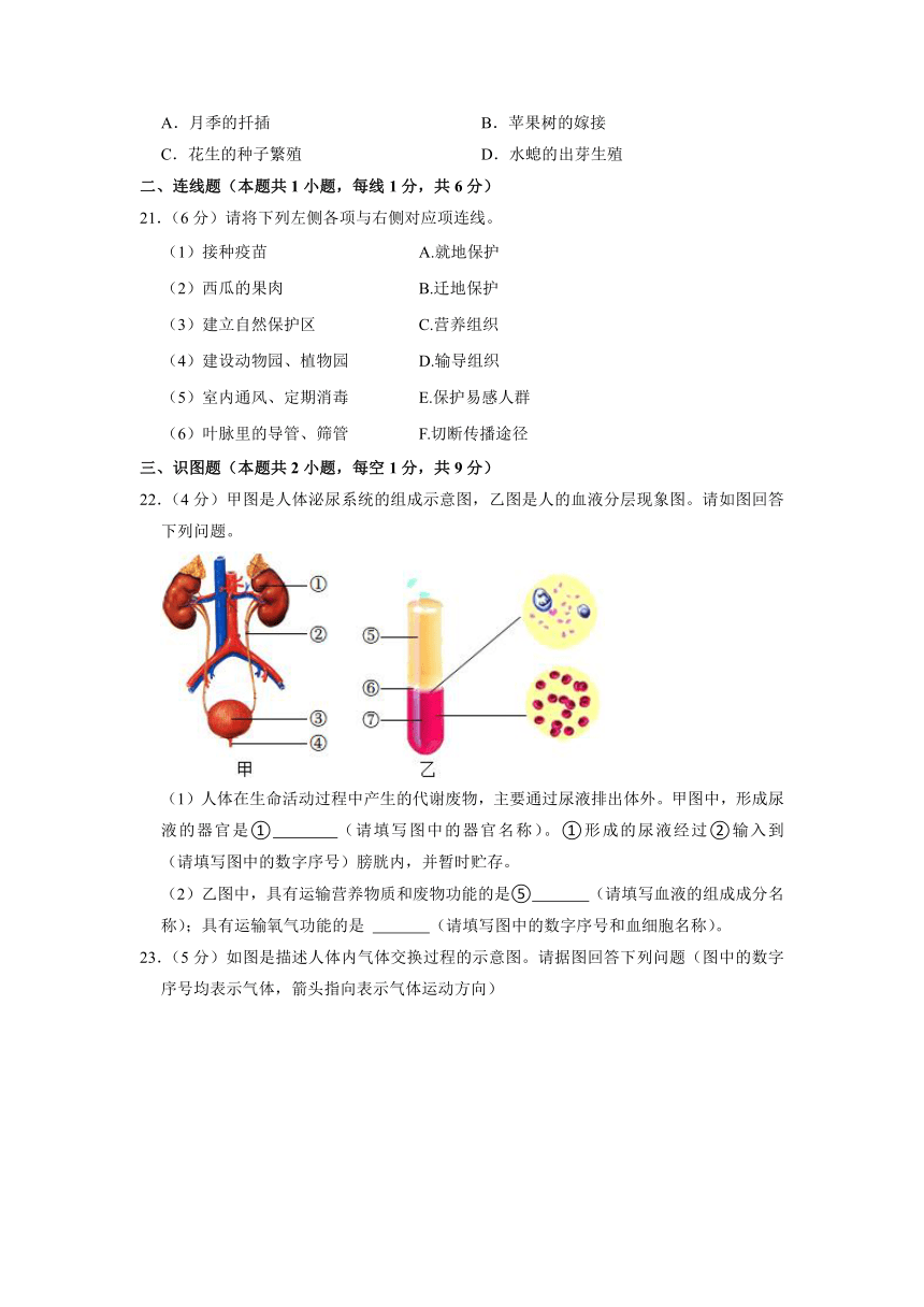 2022年辽宁省沈阳市中考生物试卷（word版，含解析）