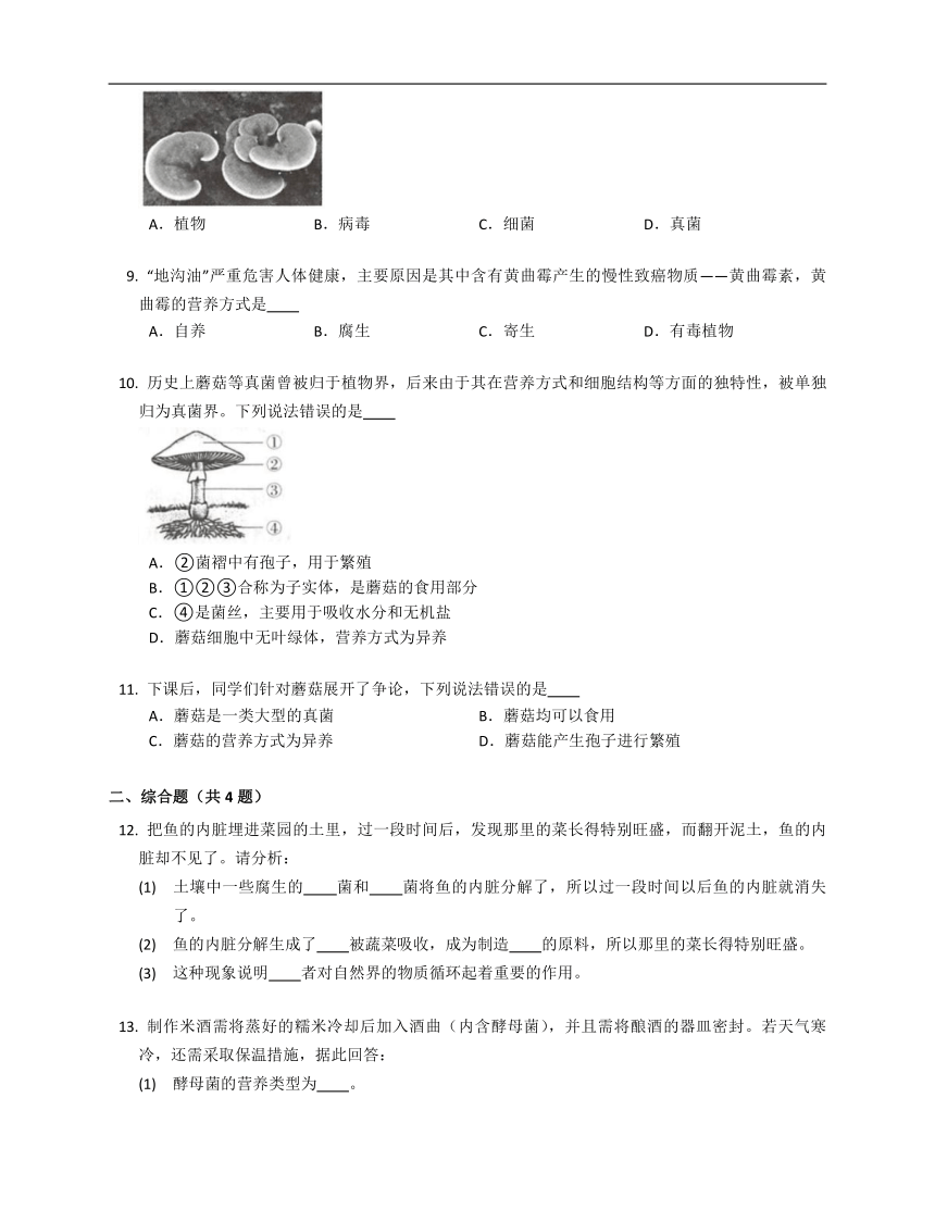 北京版八年级下13.5真菌同步练习（含答案）