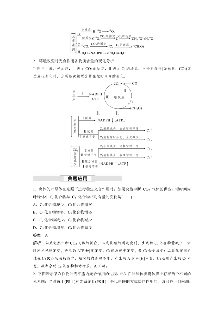 2022-2023学年苏教版2019高中生物必修1 第三章 第二节 第2课时　绿色植物光合作用的过程（学案+课时对点练 word版含解析）