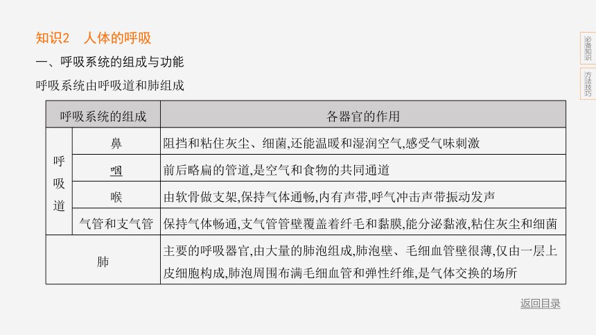 2024年浙江省中考科学二轮复习生物部分：专题四 人体的新陈代谢（课件 41张PPT)