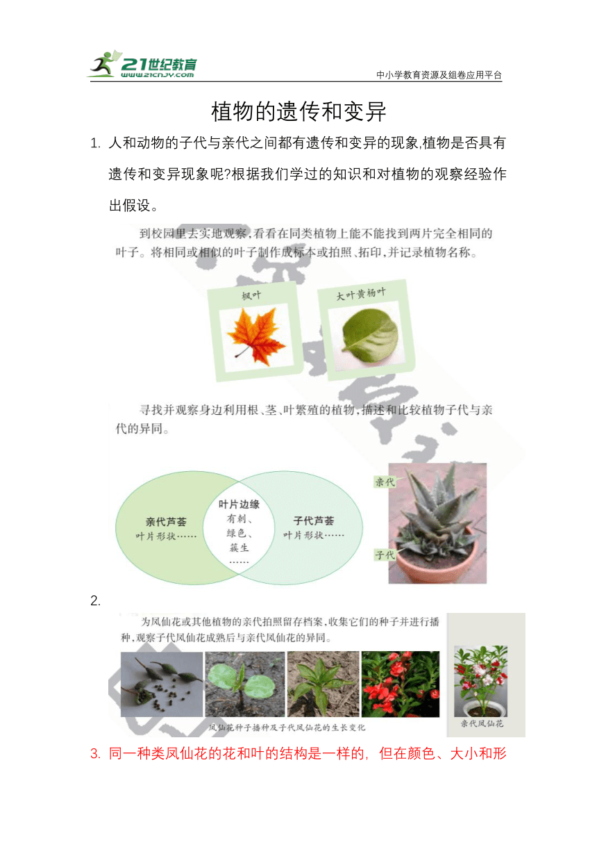 4.3.植物的遗传和变异 知识梳理