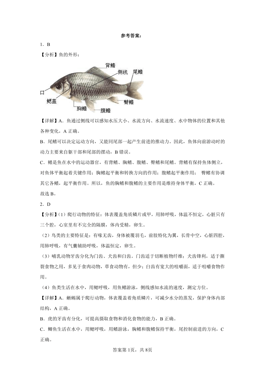 7.22.4脊椎动物的主要类群 同步练习 （含解析）北师大版生物八年级下册