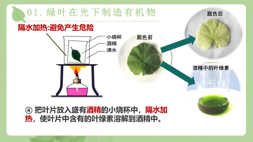 2021-2022学年人教版七年级生物上册第三单元第四章 绿色植物是生物圈中有机物的制造者  课件(共23张PPT)