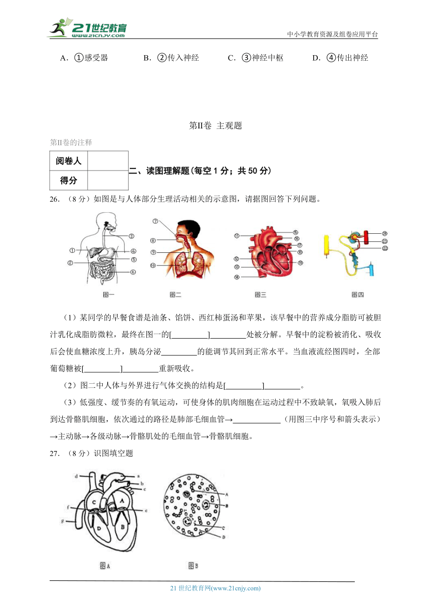 苏科版生物八年级上册期中质量检测模拟题（二）(含解析)