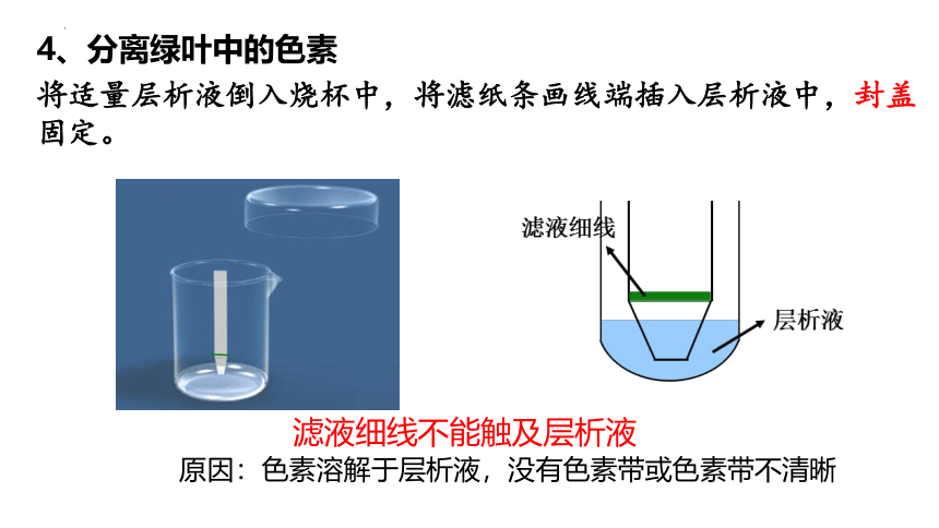 5.4光合作用与能量转化课件(共35张PPT有1份视频)2022—2023学年高一上学期生物人教版必修1