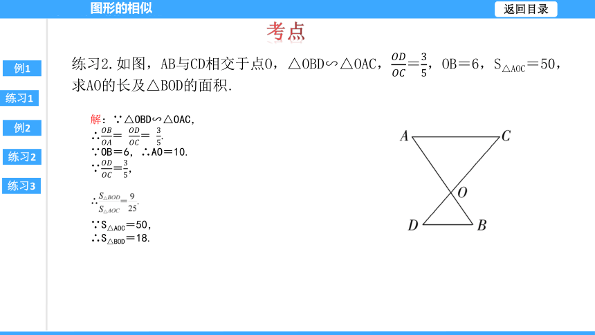 【大单元教学】鲁教版2023年八年级大单元 第九章图形的相似 课件（51张PPT）