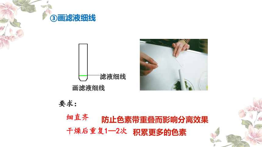 高中生物人教版（2019）必修1第5章 第4节 光合作用与能量转化 课件（28张）