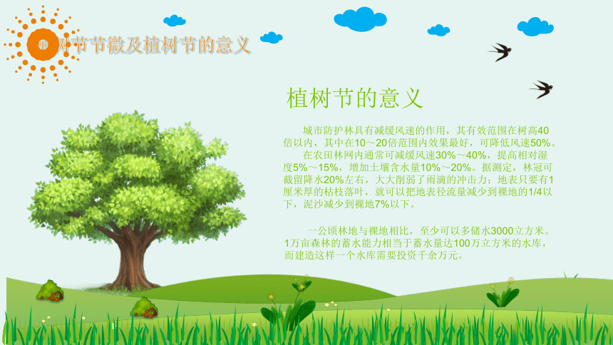 主题班会：中国植树节 课件（30张PPT）