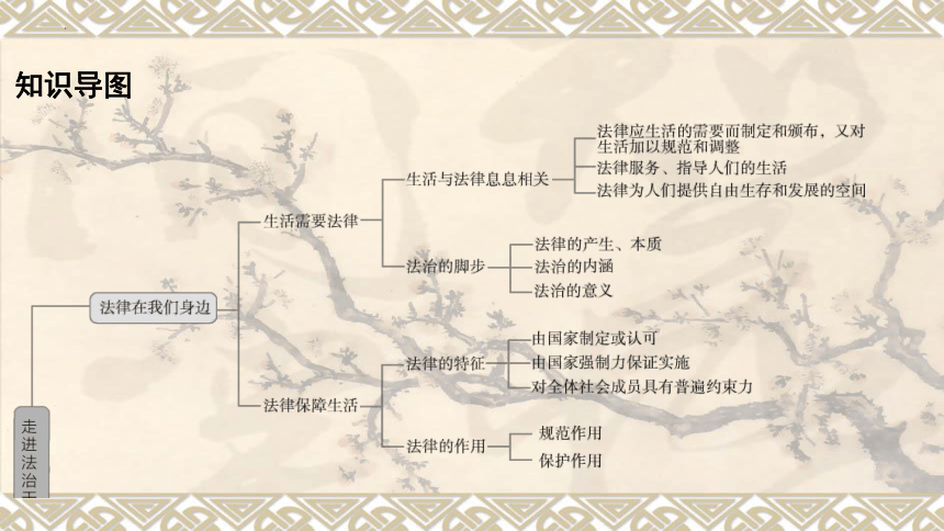 七年级下册 第四单元 走进法治天地 复习课件（49 张ppt）   -2024年中考道德与法治一轮复习