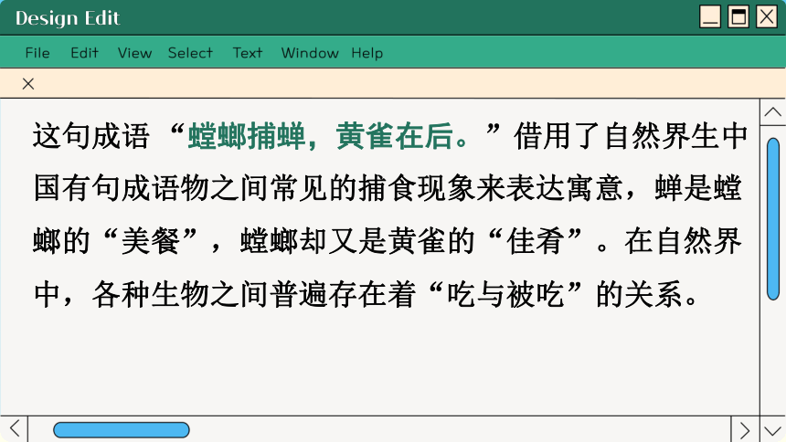 3.6.1 食物链课件(共41张PPT)2023-2024学年初中生物苏科版七年级上册