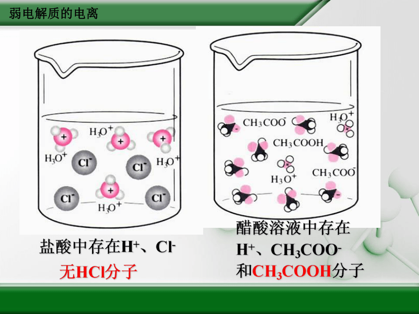 新人教版选修4高中化学第三章 第一节 弱电解质的电离(36张PPT)