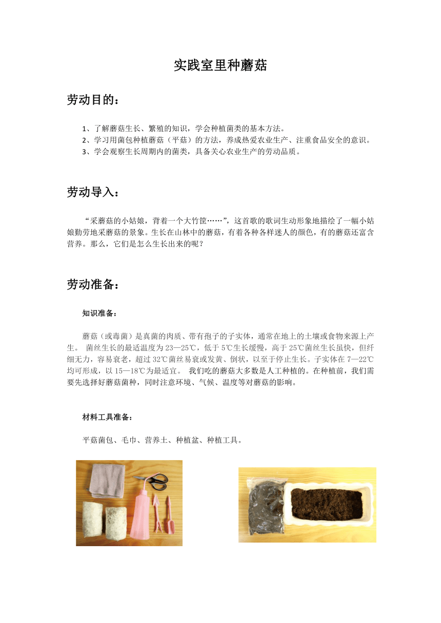 实践室里种蘑菇　教学设计