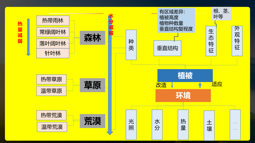 地理人教版（2019）必修第一册5.1植被（共35张ppt）