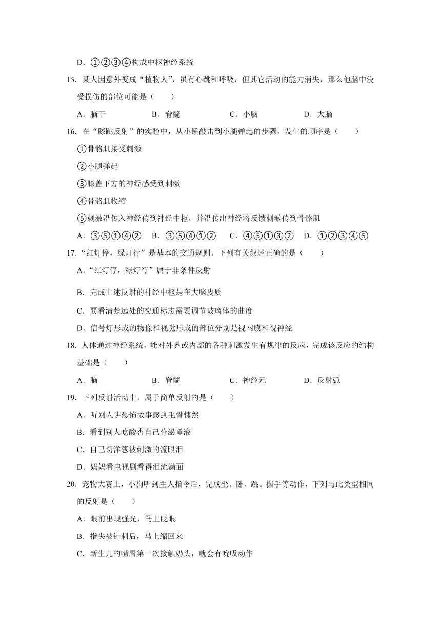 2020-2021学年人教版生物七年级下册 第四单元 第6章 人体生命活动的调节 复习题（word版含答案）