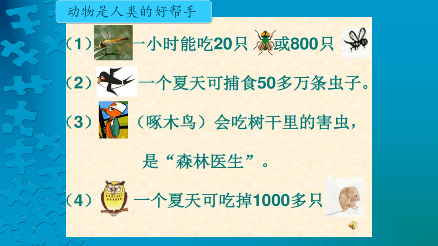 《关爱身边的动植物-我们的朋友动物》（课件）-三年级上册劳动苏教版(共30张PPT)