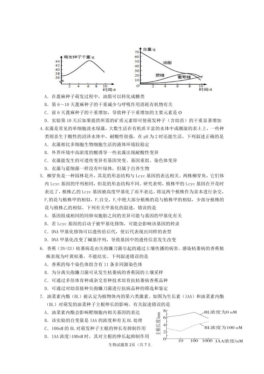 2023届海南省海口市高三模拟测试生物试卷（扫描版无答案）